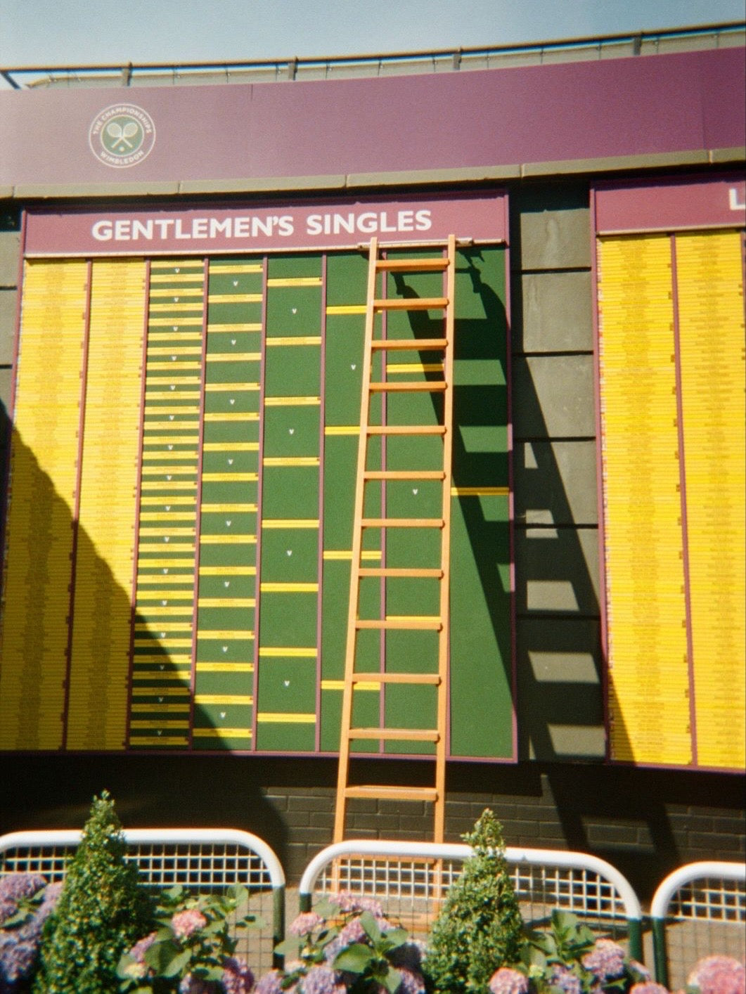 Wimbledon / On the grounds