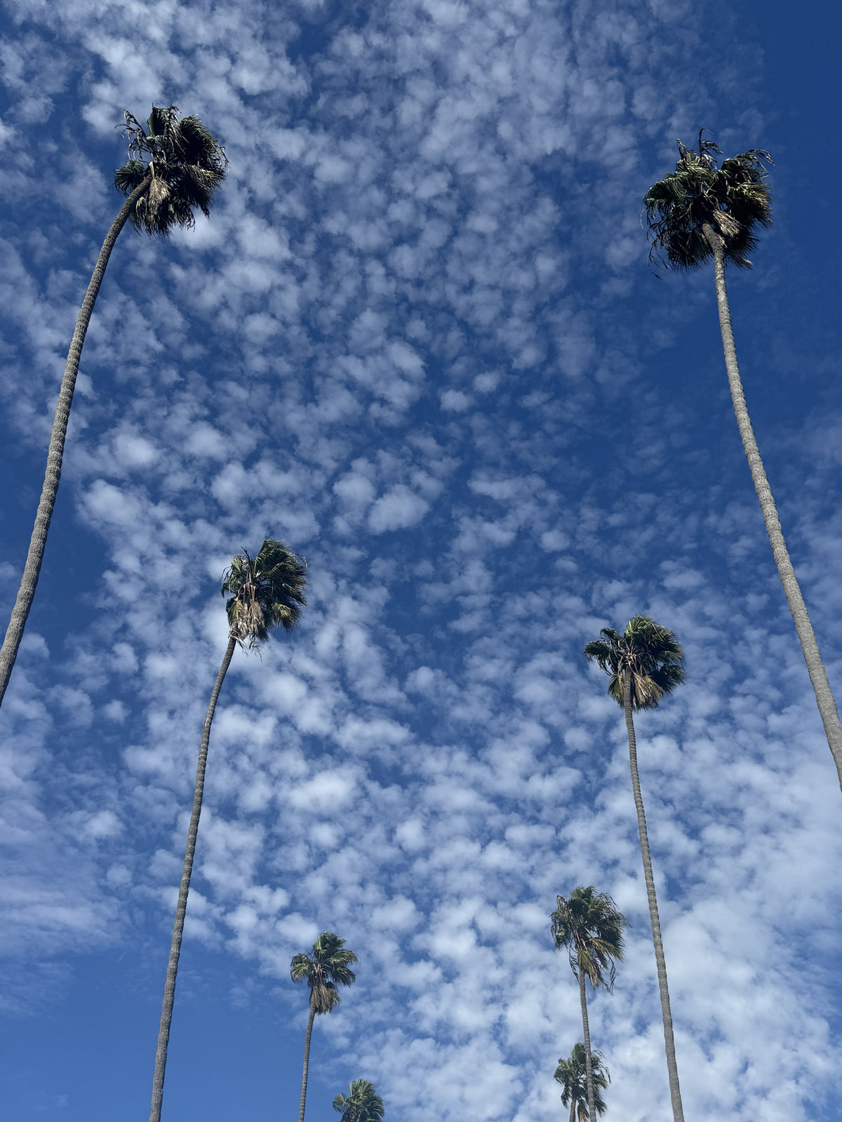 Los Angeles street behind the scenes
